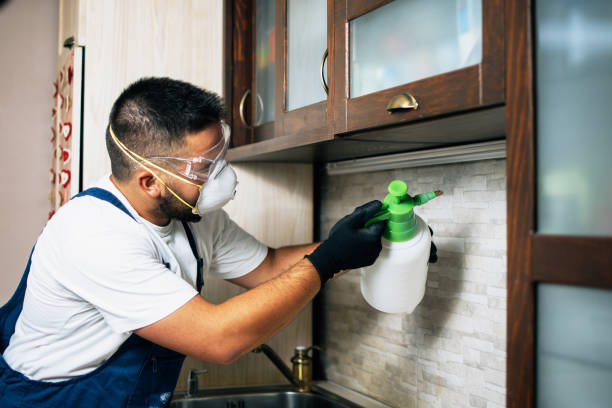 Best Wildlife Control Services  in Huntgton, IN