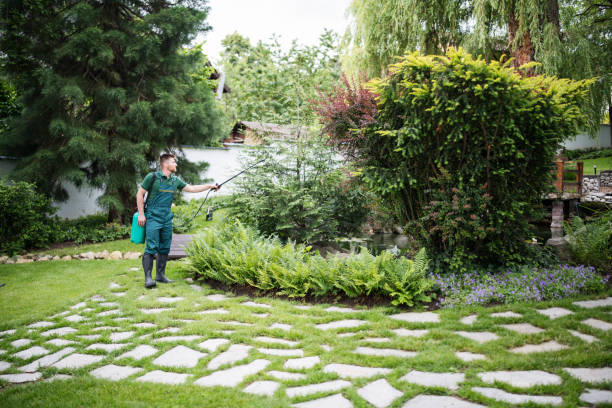 Best Wasp Removal Services  in Huntgton, IN