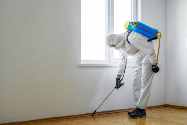 Trusted Huntington, IN Pest Control Experts
