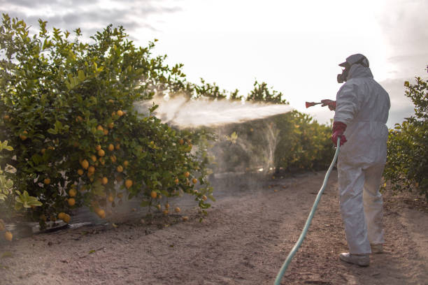 Best Best Pest Control Companies  in Huntgton, IN
