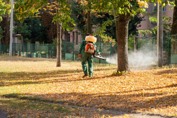 Best Best Pest Control Near Me  in Huntgton, IN