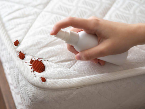 Wasp Removal Services in Huntington, IN