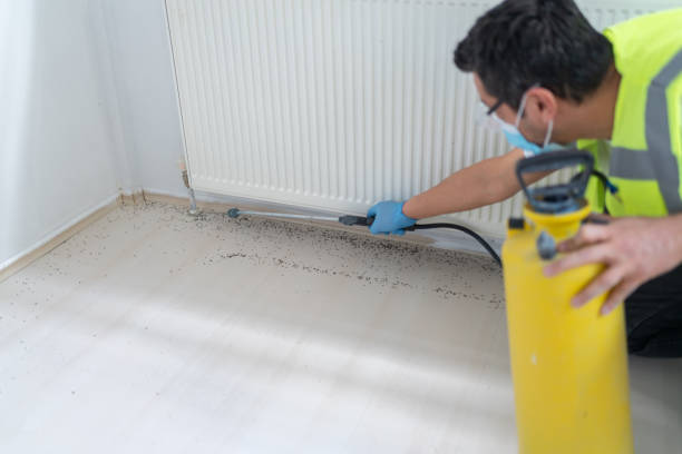 Best Ant Control Services  in Huntgton, IN