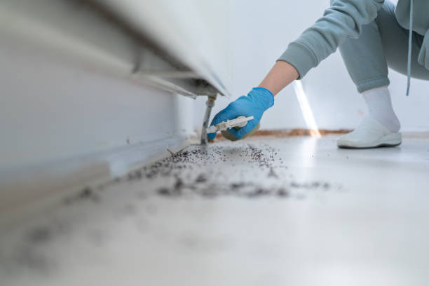 Best Best Pest Control Companies  in Huntgton, IN