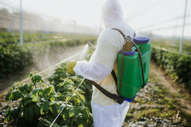 Best Pest Prevention Services  in Huntgton, IN